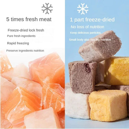 Pet Snacks canned freeze-dried chicken duck beef three texts cod quail eggs yellow eggs cats and dogs freeze-dried