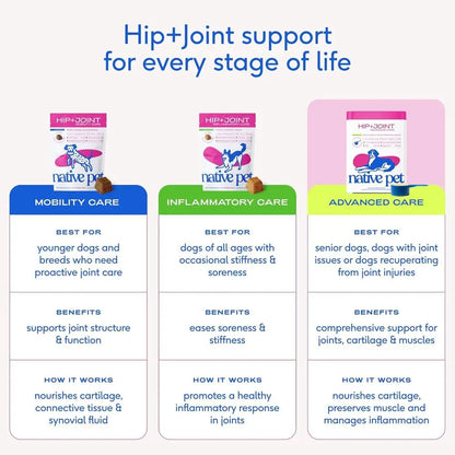 Advanced Care - Hip & Joint Supplement for Dogs - Supports Joints, Cartilage, Muscles & Anti-Inflammatory with HMB, UC-II Collag