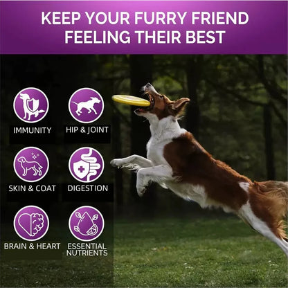 【15in1】Multivitamin for dogs  - Improve hair loss, digestion and immune support - Dog paw yeast treatment