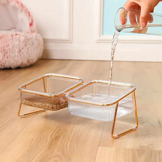 Transparent Elevated Dual Cat Bowl, 2-in-1 Raised Feeder for Food & Water, Tilted Design for Easy Eating, Ideal for Cat Health