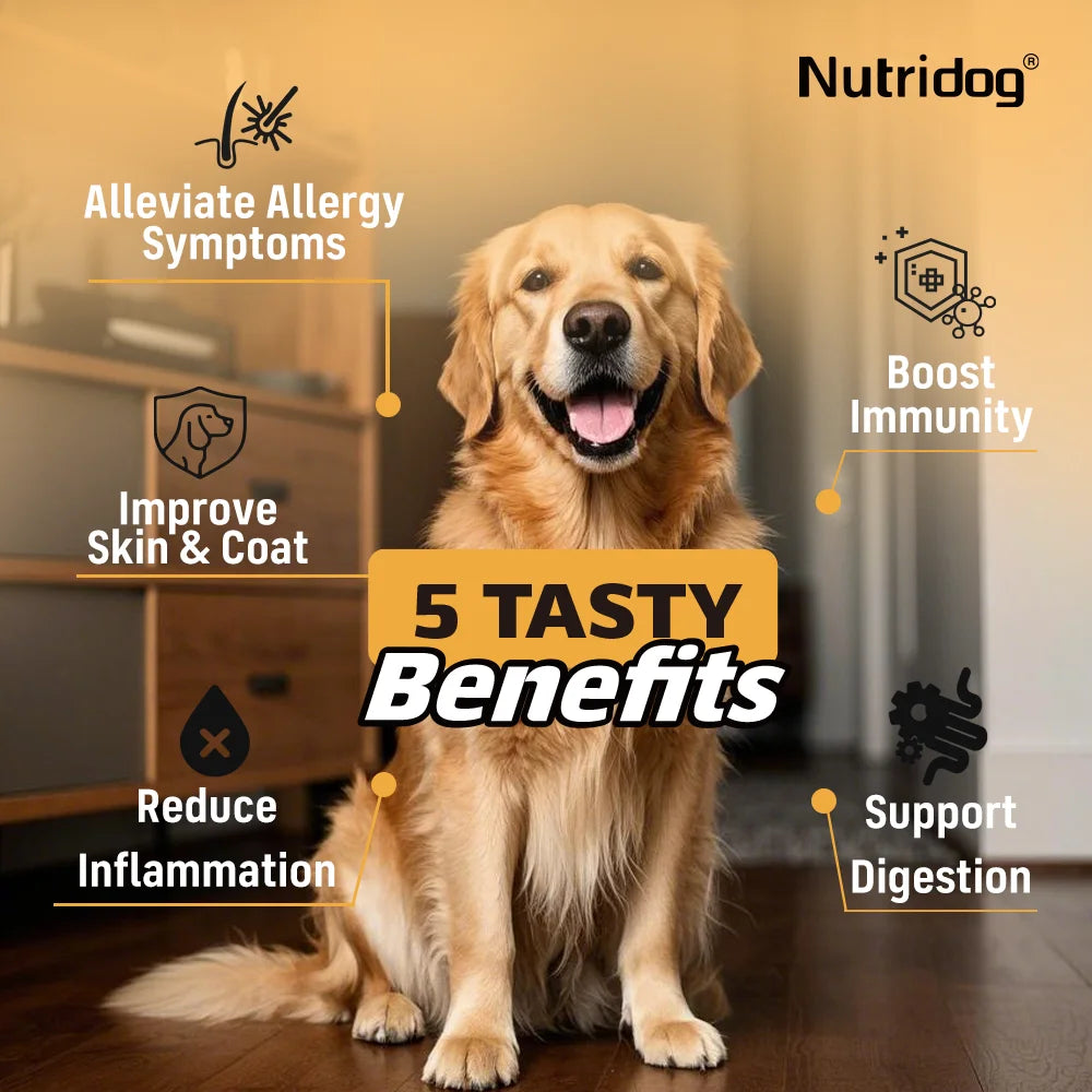 NUTRIDOG Dog Allergy Itch Relief Chews Omega-3 Vitamin C Support Skin For Dog Immune Health Supplement Nutrition 90 PCS/Bottle
