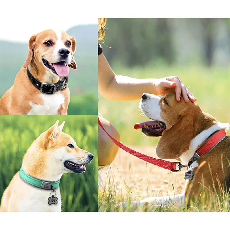 Solid Dog Collars Nylon Dog Collar For Small Medium Large Dogs Teddy Keji Pitbull Bulldog Beagle