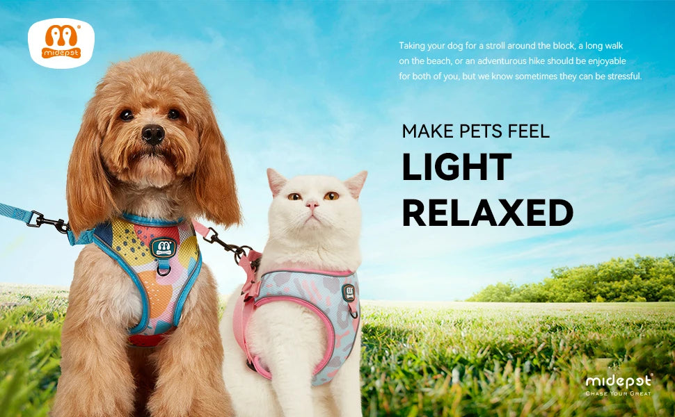 New Arrives Adjustable Soft Mesh With Fashionable Design Pet Harness And Leash Set