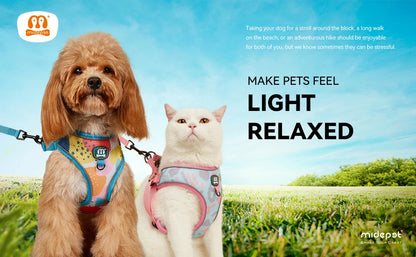 New Arrives Adjustable Soft Mesh With Fashionable Design Pet Harness And Leash Set