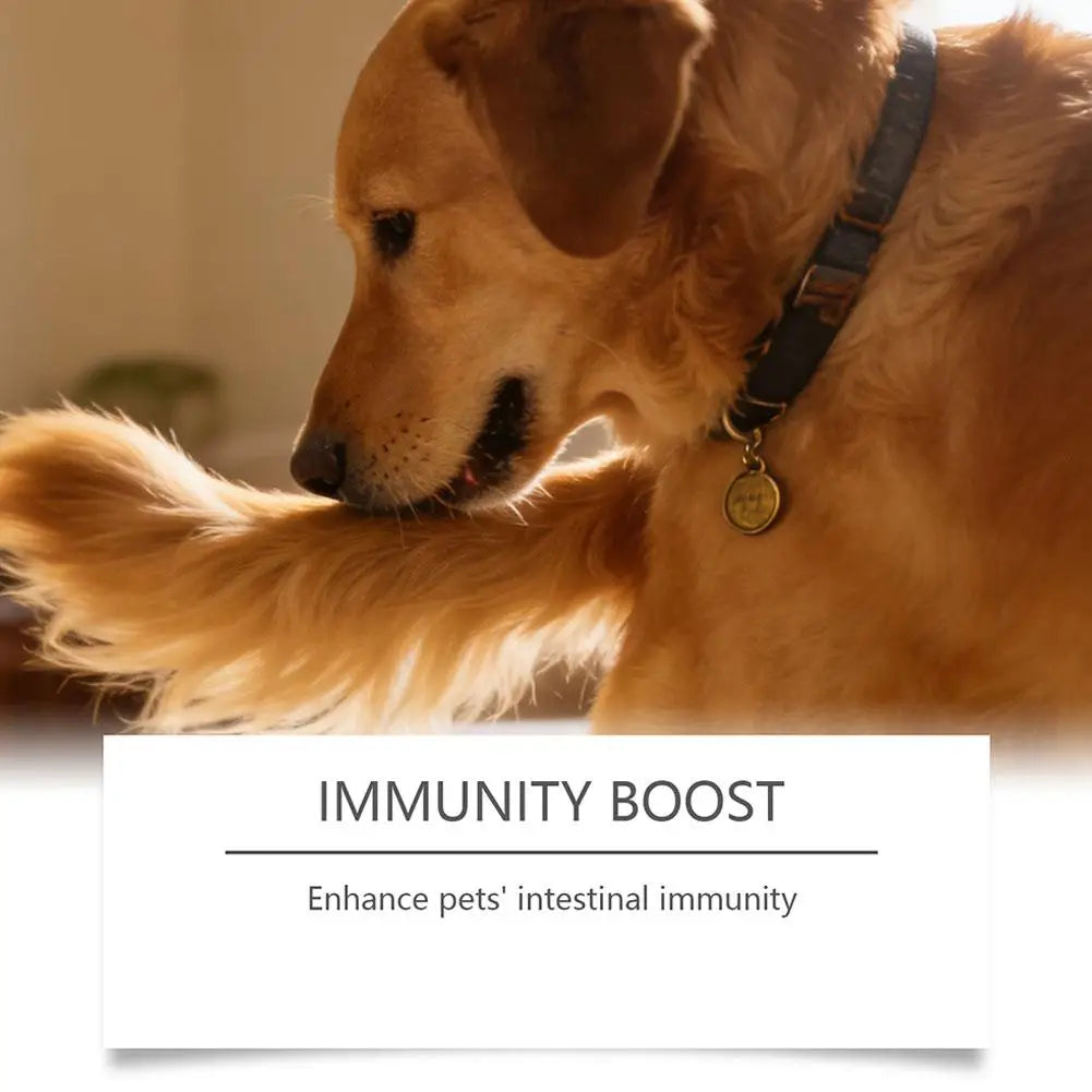 Dog Probiotic Intestinal Powder 100g Delicious Bacon Flavor Gut Flora Balance Digestive Support for Dogs Nutritional Supplement