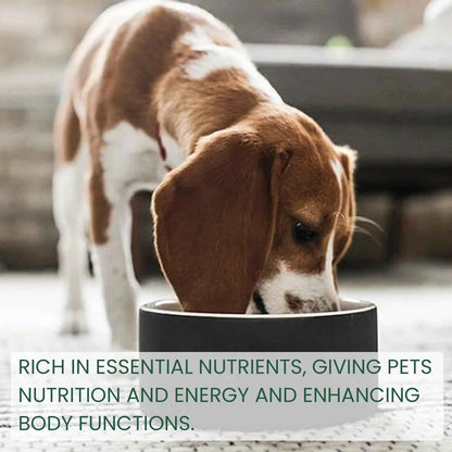 Probiotic Drops to Boost Pet Immunity, Relieve Discomfort in Cats and Dogs, Oral Care for Pets, Bad Breath Solution