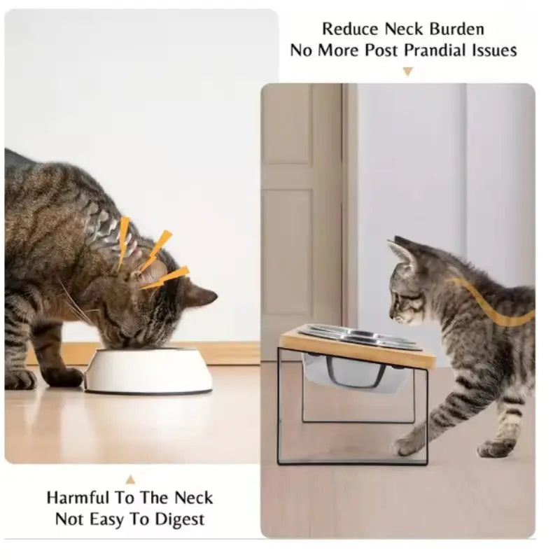 Elevated Cat Bowls 15° Tilted Raised Cat Food Bowls with Wooden Stand Anti Vomiting 2Stainless Steel Bowls for Cats and Puppy