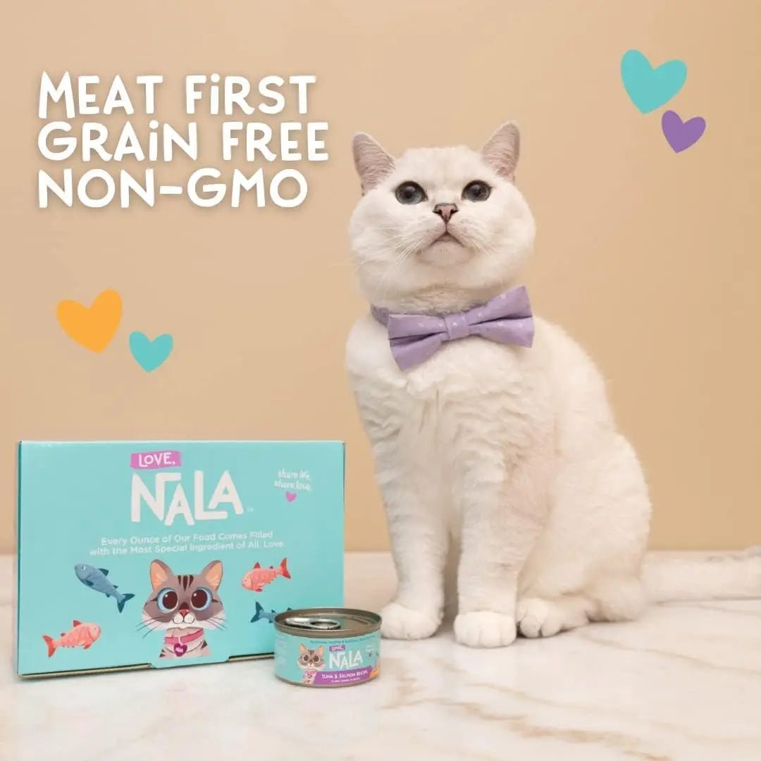 Natural Adult Cat Wet Food Variety Pack - Salmon, Tuna, Chicken - Grain Free, Non-GMO with Omega 3 & Vitamins - 12 Pack