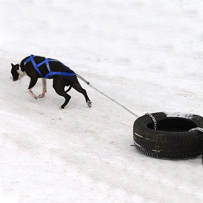 Dog Sledding Harness Refletive Pet Weight Pulling Sled Harness Vest For Medium Large Dogs Husky Canicross Skijoring Scootering
