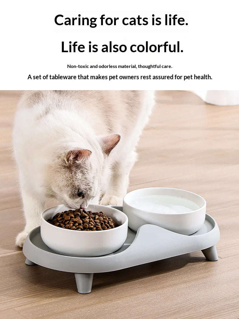 Ceramic Double Pet Bowl Elevated Design - Non-Tip Stable Large Capacity Cat Dog Food Water Dish Ant Proof Feeder