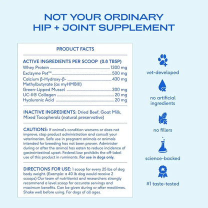 Advanced Care - Hip & Joint Supplement for Dogs - Supports Joints, Cartilage, Muscles & Anti-Inflammatory with HMB, UC-II Collag
