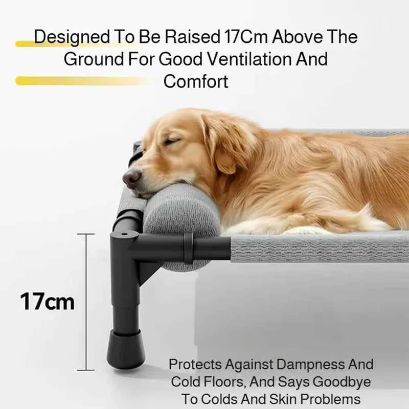 Elevated Cooling Pet Bed Breathable Dog Cot With Pillow Pad Four Seasons Use Moisture Proof Indoor Bed For Dogs And Cats