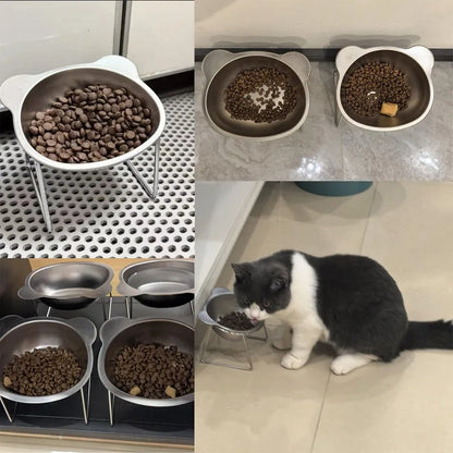 Elevated Cat Bowls for Small Dogs 5.9" Indoor Stainless Steel Raised Cat Bowl for Food Water 15° Titled Anti-Vomiting Dog Dishes