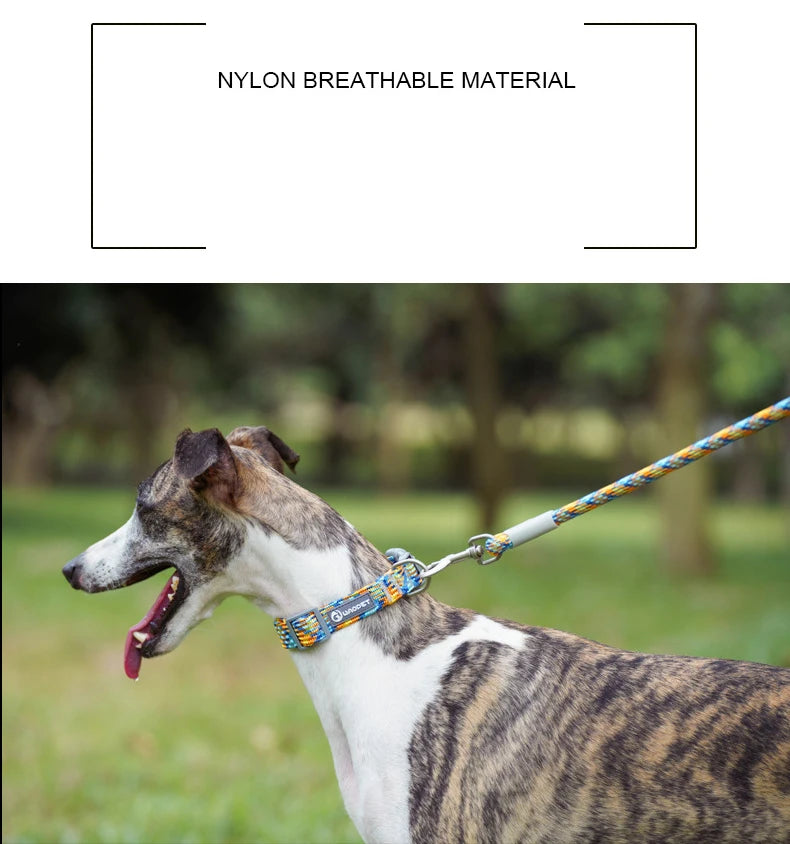 Nylon Dog Collar Adjustable Reflective Pet Collars with Metal Buckle and Quick Release Buckle Large and Medium Dog Pet Collars