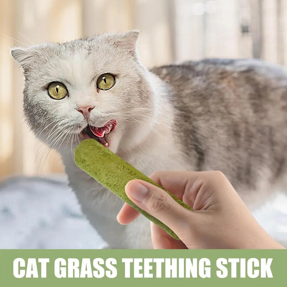 Cat Grass Sticks Grass Chewing Stick Freeze Dried Snacks Mouth Health Teething Digestive Aid Natural Teeth Cleaner Fattening Pet