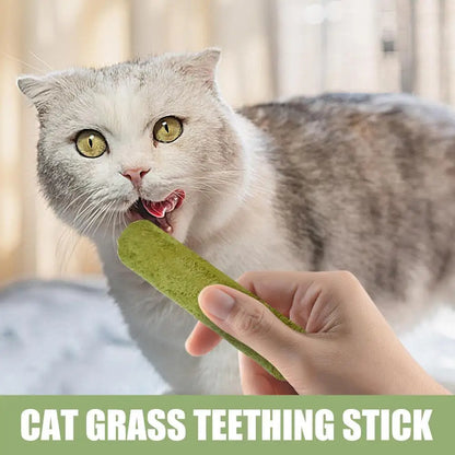 Cat Grass Sticks Grass Chewing Stick Freeze Dried Snacks Mouth Health Teething Digestive Aid Natural Teeth Cleaner Fattening Pet