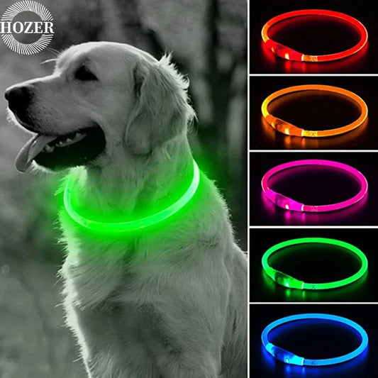 USB Rechargeable LED Dog Collar – Flashing Night Safety Glow Collar with Loss Prevention - Pet Suppie