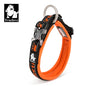 TrueLove TLC50121 Reflective Neoprene Dog Collar with Matching Leash, Adjustable Nylon Collar for All Dog Sizes