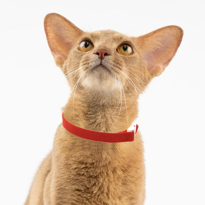 cute Safety Cat Collar Stretch Elastic Collars, Fashion Light Weight Kitten Collar for All Small Large Cat,Puppy Pet Accessories