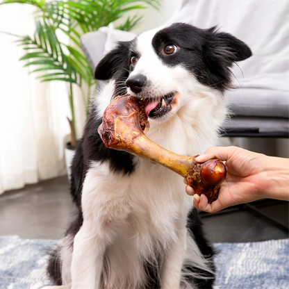 5.29-6.70oz/(150-190g)  6.30in/16cm Large Cow Bone, All Natural Ingredients, Natural Dog Treats, Healthy, Easily Digestible