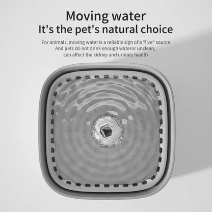 Cat Water Fountain Auto Recirculate Filter Large Capacity Filtring Pet Cat Water Drinker USB Electric Mute Cats Water Dispenser