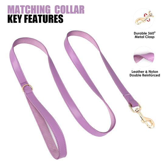 Personalized Dog Collar Leash Bag Set Custom PU Leather Dog Collars Colorful Pet Necklace With Leashes Poop Bag for Dogs Pug