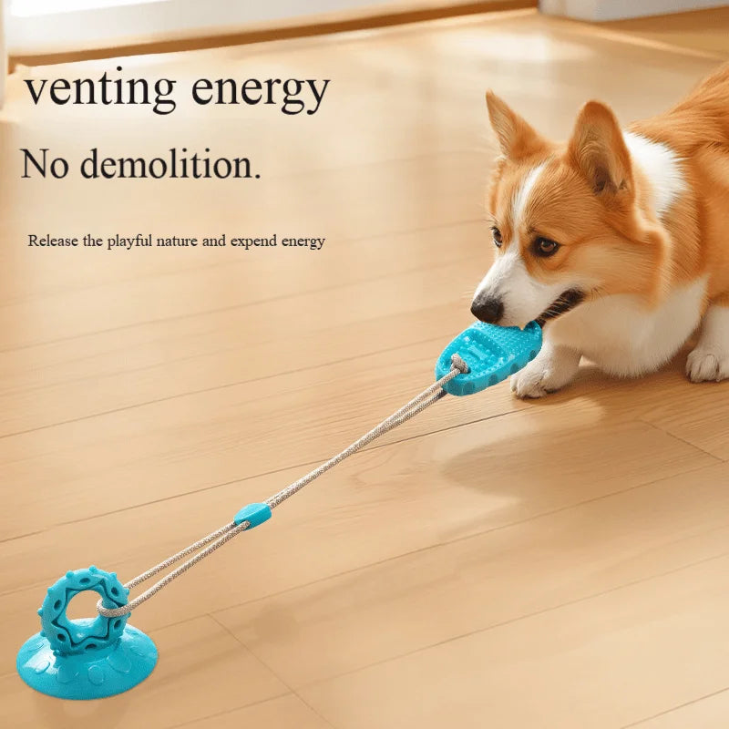 Suction Cup Slippers Ball Dog Resistant to Grinding Teeth Toys Self-Sex to Relieve Boredom of Physical Strength Pet Toys