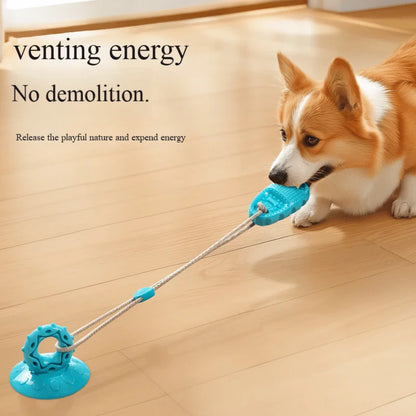 Suction Cup Slippers Ball Dog Resistant to Grinding Teeth Toys Self-Sex to Relieve Boredom of Physical Strength Pet Toys