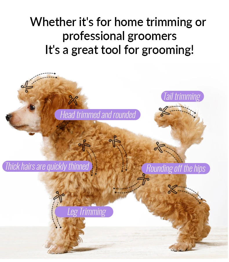 Fenice Dog Beauty Scissors Colorful 6.5/7/7.5 inch JP440C Professional Dog Grooming Scissors Curved Thinner Chunker Shears Tools