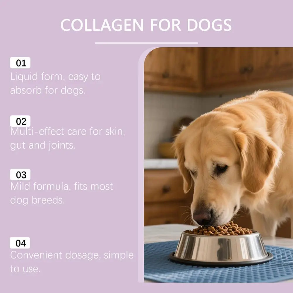 Dog Collagen Absorbable Drops Pet Cleaning & Nutritional Care - Skin Hair Intestinal Joint Health Support Daily Pet Supplement
