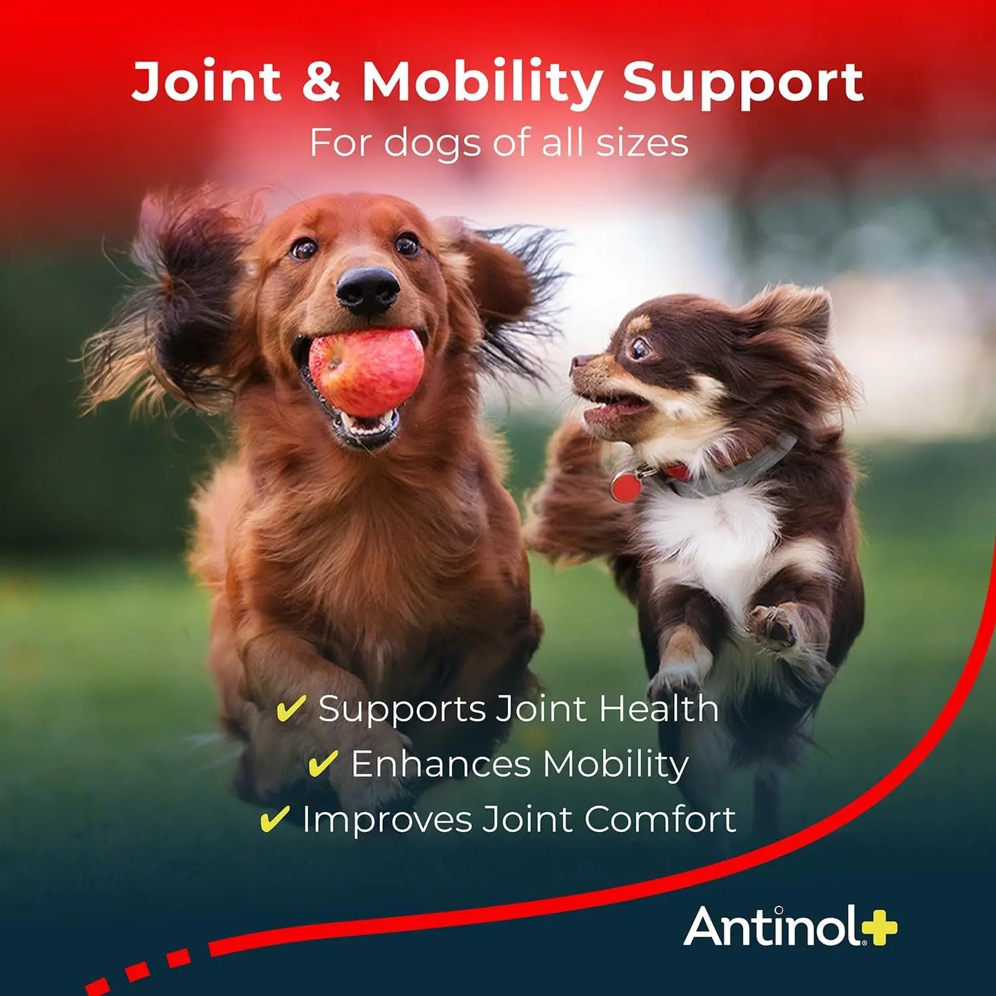 Dog Hip & Joint Supplement with Green-Lipped Mussels & Krill Oil - 60 Soft Gels, Better Than Glucosamine