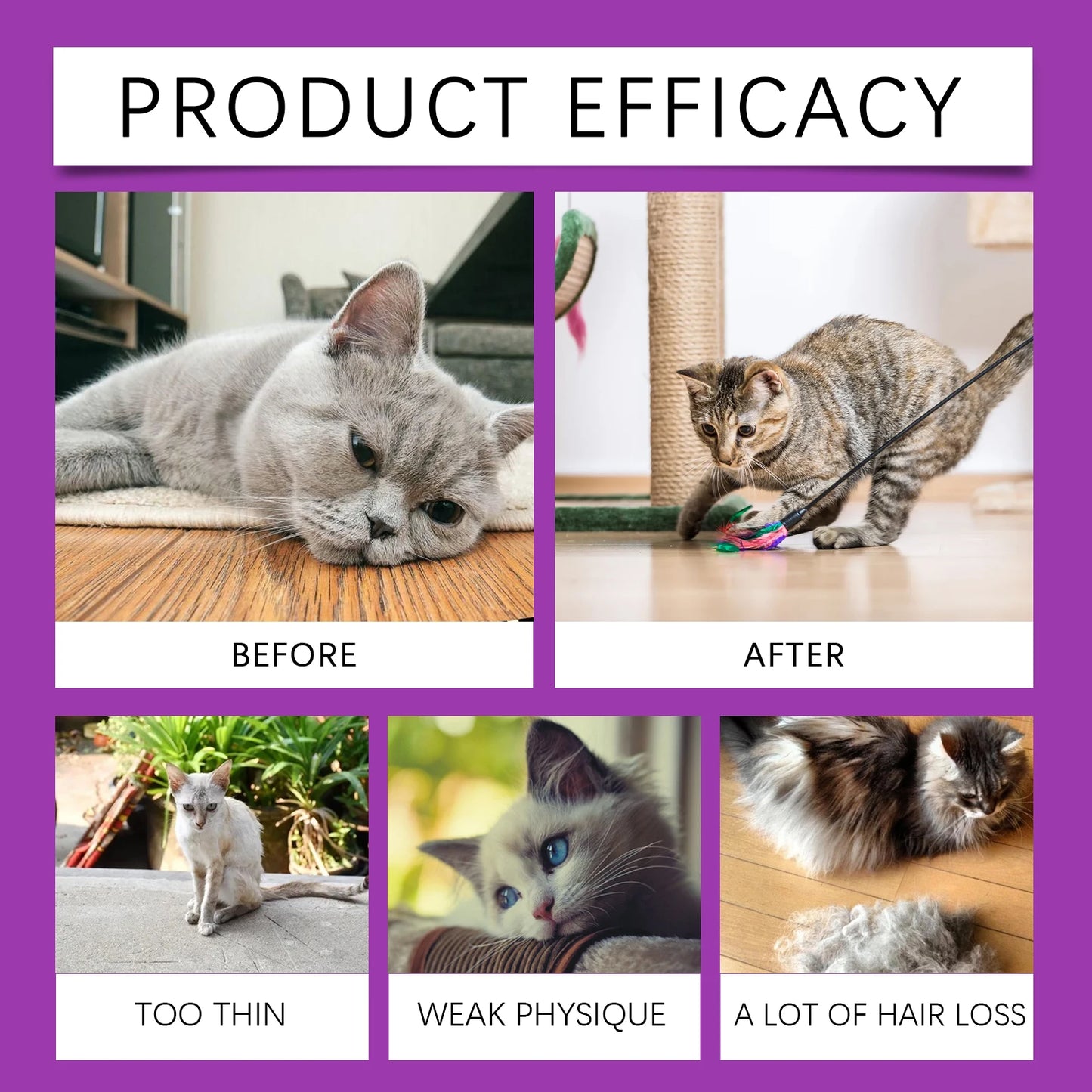 15-in-1 Pet Cat Vitamin Drops Boost Cats' Immune System, Resist Diseases Care Pets' Discomfort Daily Care Vitamin Supplement