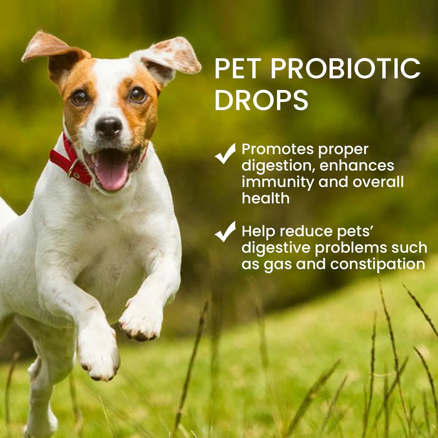 Probiotic Drops to Boost Pet Immunity, Relieve Discomfort in Cats and Dogs, Oral Care for Pets, Bad Breath Solution