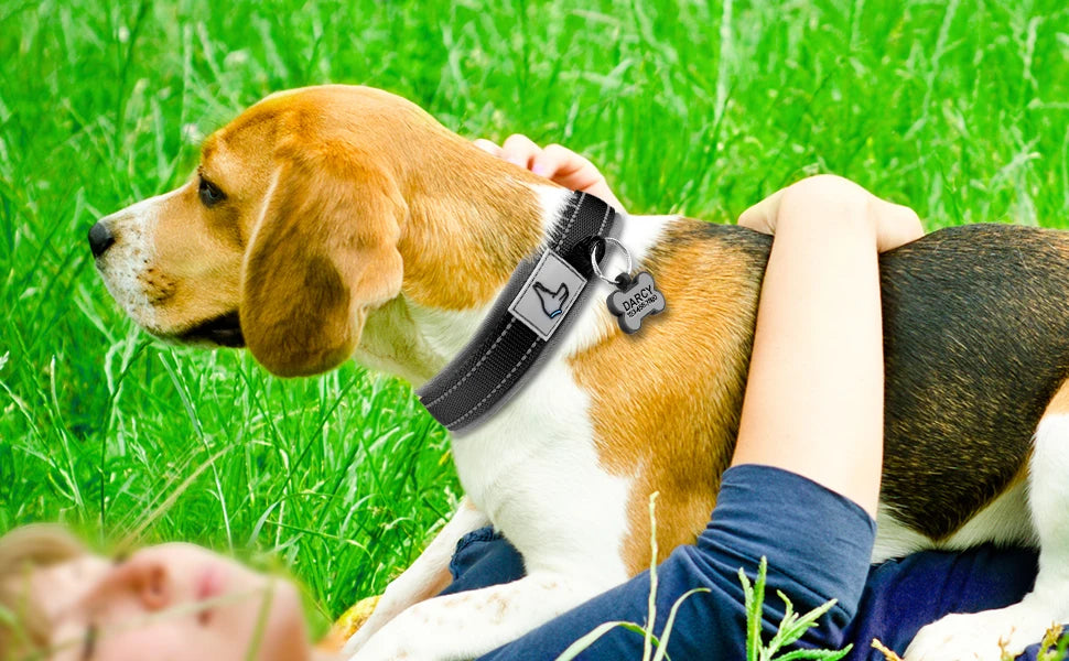 Solid Dog Collars Nylon Dog Collar For Small Medium Large Dogs Teddy Keji Pitbull Bulldog Beagle