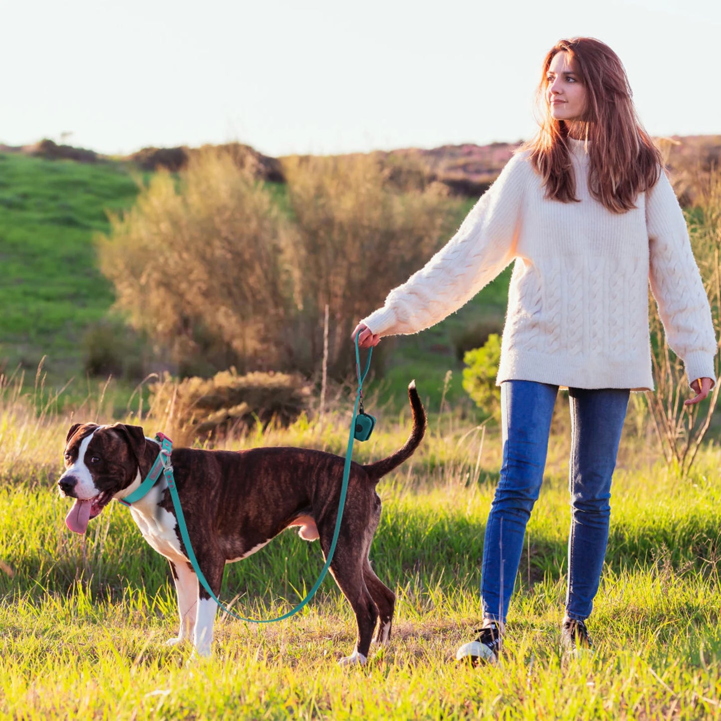 Dog Poop Bag Holder Leash Generation Medium Adjustable Two Piece Dog Lleash Walking Bags Lead Lea