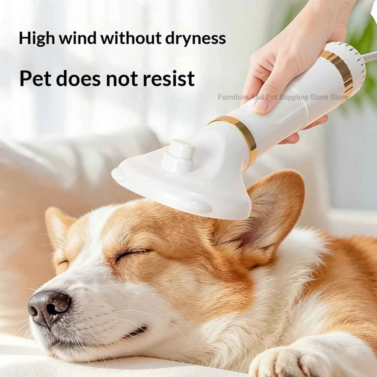 Pet dog hair dryer, cat water dryer, three in one design, powerful dog dryer, pet bath dryer, cat and dog beauty products