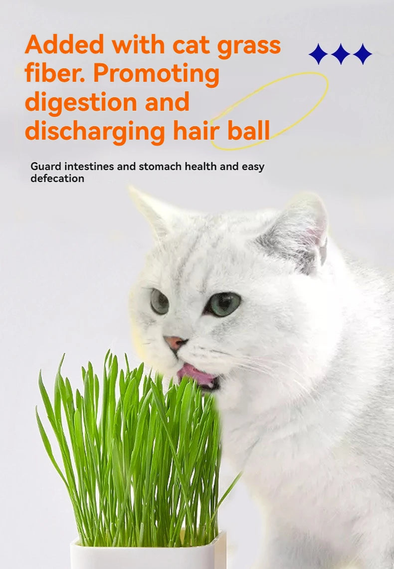Cat grass cat strips chicken flavor cat snacks 15 grams per adult cat kitten nutrition supplement cat strips cat wet food