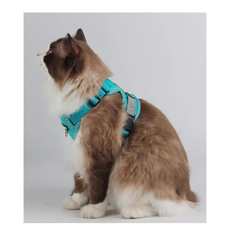 Escape Proof Cat Harness with Leash, Reflective Adjustable Mesh Vest for Cats and Kittens, Safe Outdoor Walking Training Harness