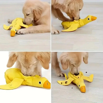 Quacky Delight Snack Dispenser - Squeak Toys for Puppy Training, Interactive Play,  Mental Stimulation - Durable, Easy-to-Clean