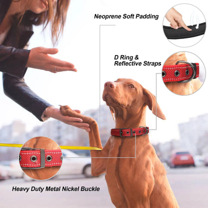 Reflective Striped Dog Collar, Escape-Proof Nylon, Quick-Release Buckle, Soft Padded, for Small Cat, Medium and Large Dogs