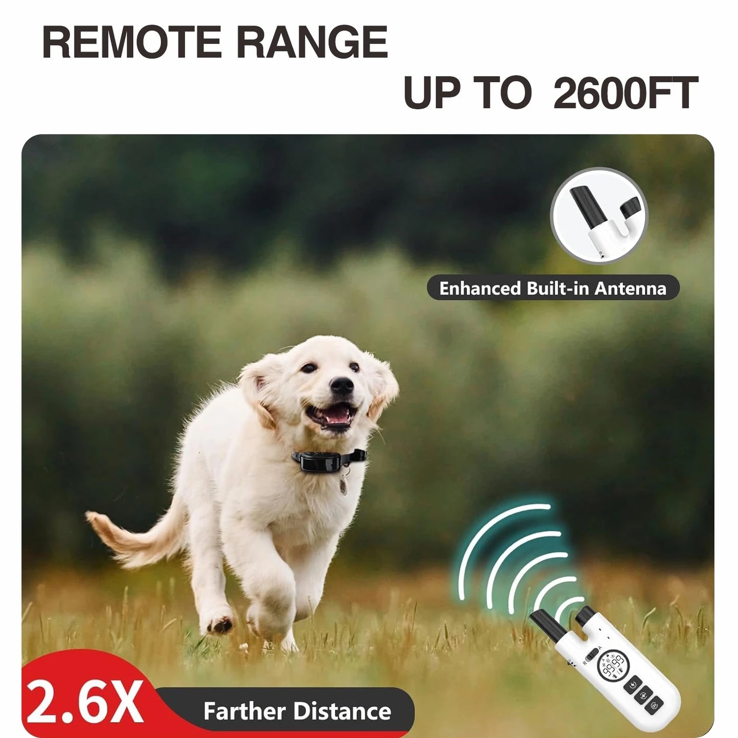 Dog Training Bark Collar 2 in 1 No Bark Control Collar 800M Rechargeable Dog Electric Collar Remote Waterproof Dog Pet Product