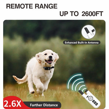Dog Training Bark Collar 2 in 1 No Bark Control Collar 800M Rechargeable Dog Electric Collar Remote Waterproof Dog Pet Product