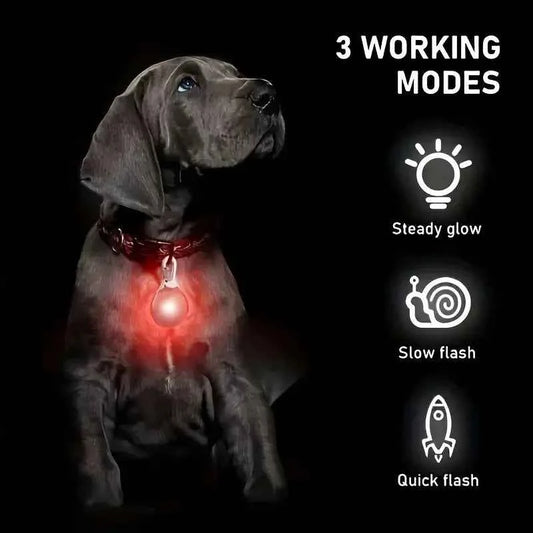 Dog Collar Light,Dog Lights for Night Walking, LED Pet Collar Light for Nighttime Clip on, Pet Walking Accessories, Random Color
