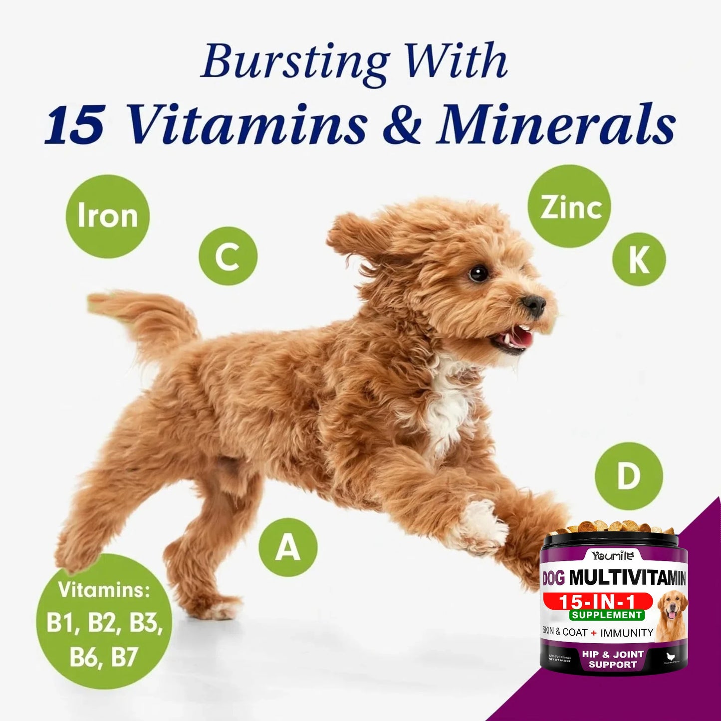 【15in1】Multivitamin for dogs  - Improve hair loss, digestion and immune support - Dog paw yeast treatment