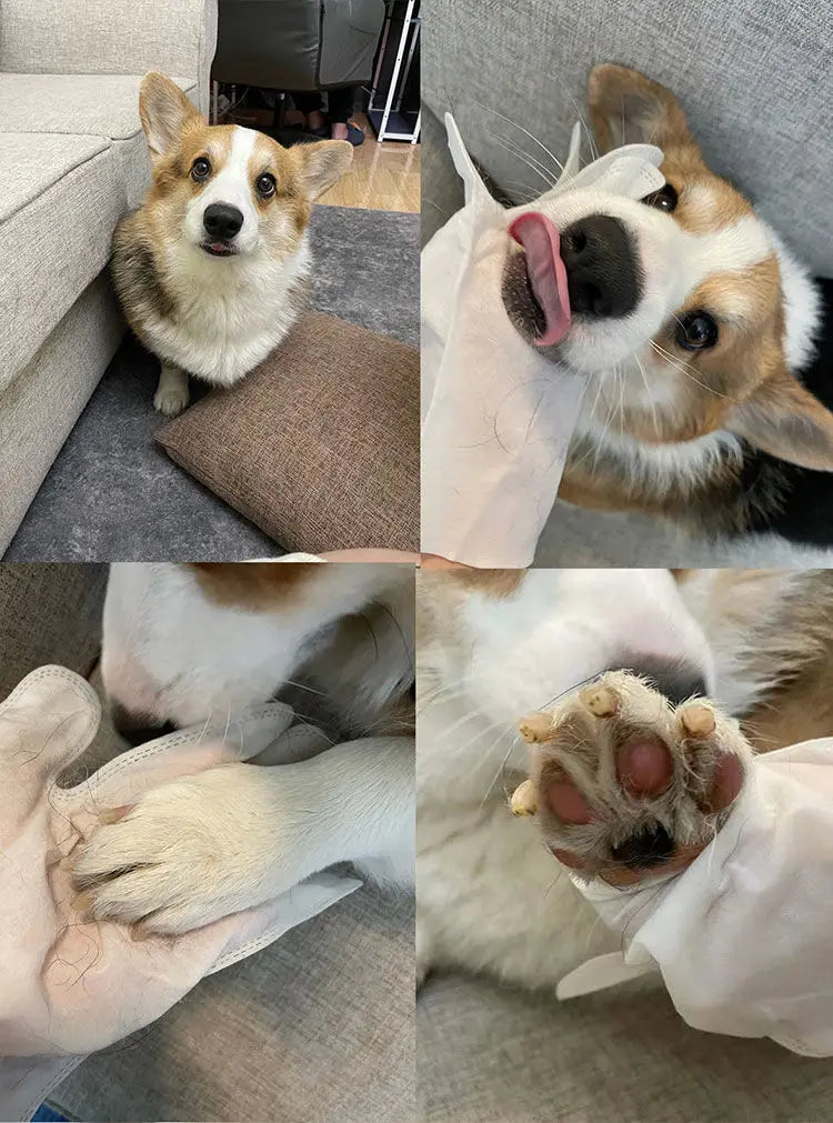 Disposable Waterless Pet Cleaning Gloves – 2-in-1 Massage & Grooming Mitts Pet Wash Free Pet Wipes