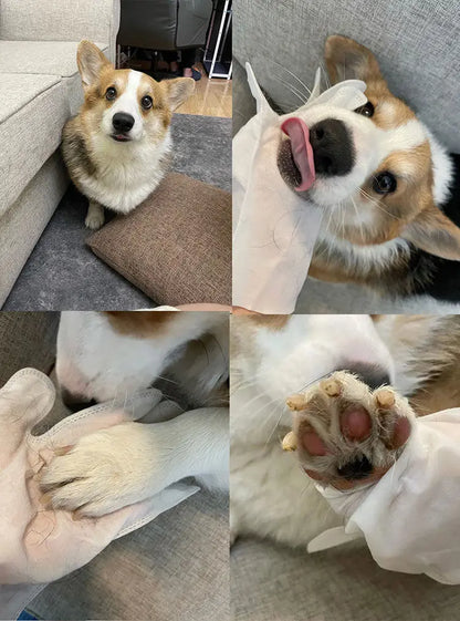 Disposable Waterless Pet Cleaning Gloves – 2-in-1 Massage & Grooming Mitts Pet Wash Free Pet Wipes