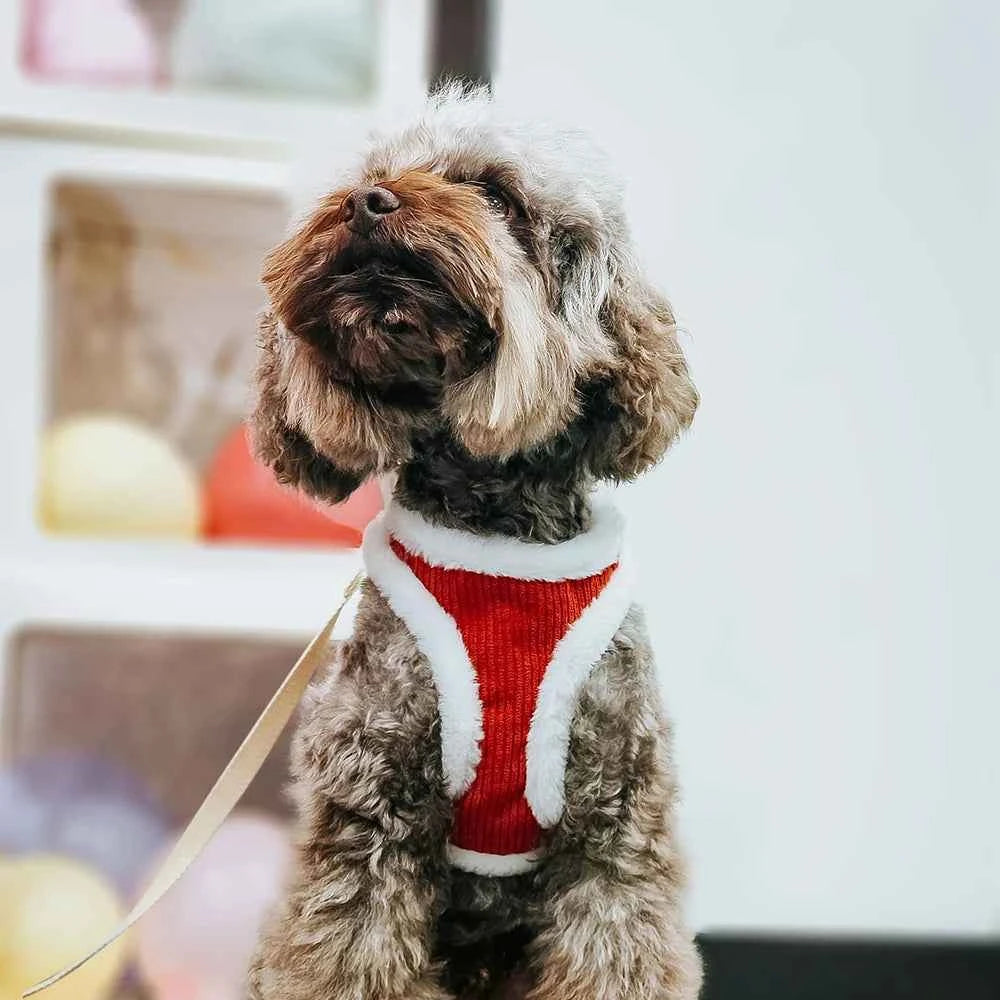 Warm Winter Dog Harness and Leash Set Soft Fur Cat Dog Vest Harness For Small Medium Dogs Cats Chihuahua French Bulldog