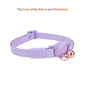 Pet Cat Collar Necklace With Small Bell PVC Waterproof Adjustable Kitten Collar Candy Color