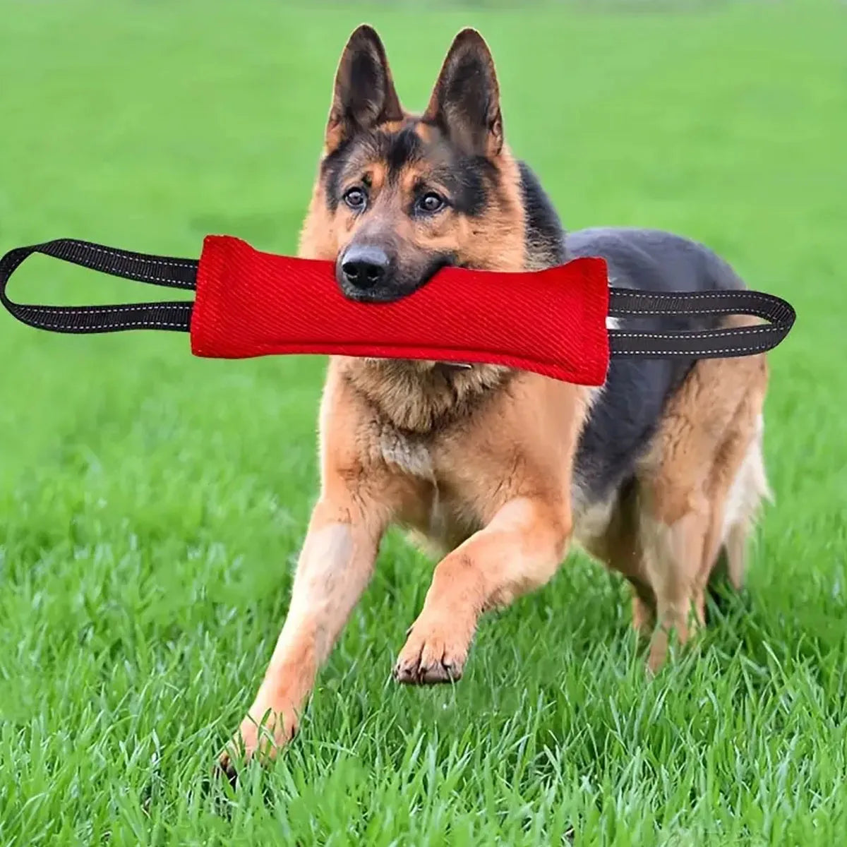 1pc-Dog Tug of War Toy Outdoor Tug of War Puppy Training Chew Pillow Best for Tug of War, Puppy Training Interactive Games