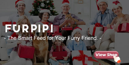 Automatic Cat Feeder With 1080p Camera Video Cat Food Dispenser Pet Smart Voice Recorder Remote Control Auto Feeder For Cat Dog